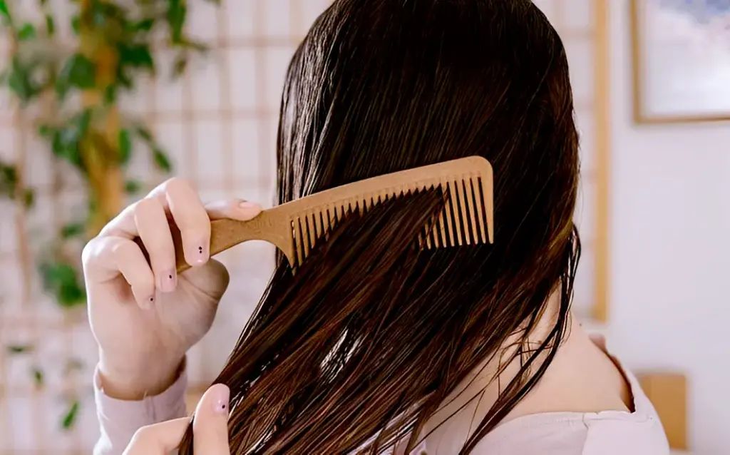 ভেজা চুল আচড়ানো যাবে না