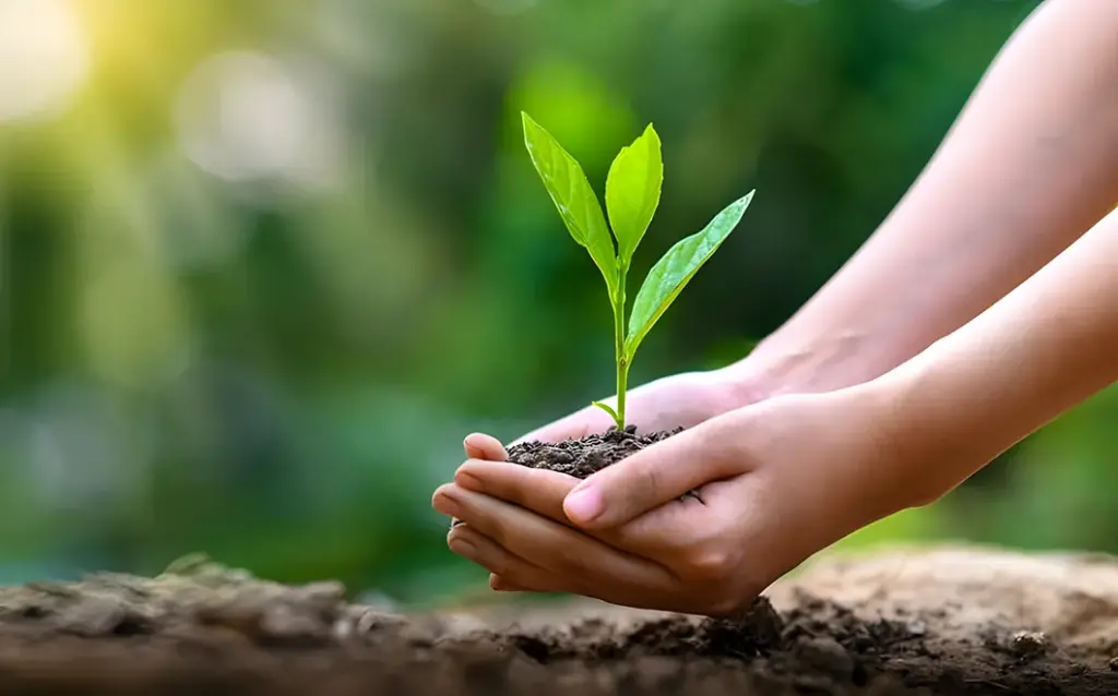 গাছের প্রয়োজনীয়তা